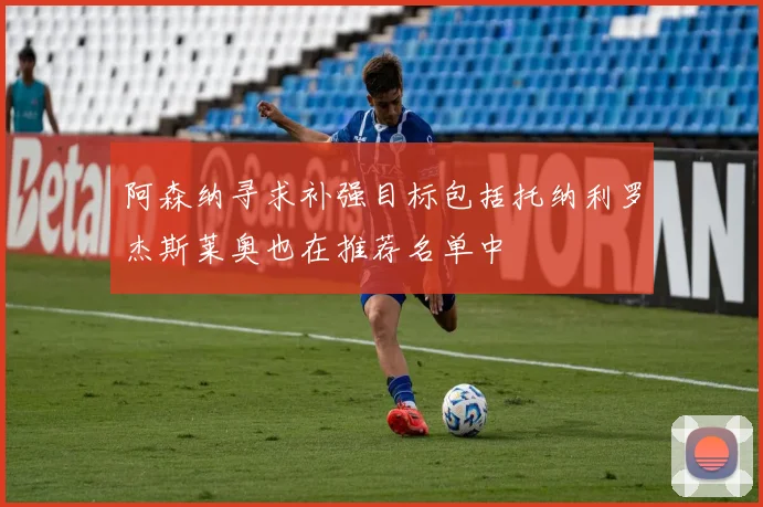 阿森纳寻求补强目标包括托纳利罗杰斯莱奥也在推荐名单中