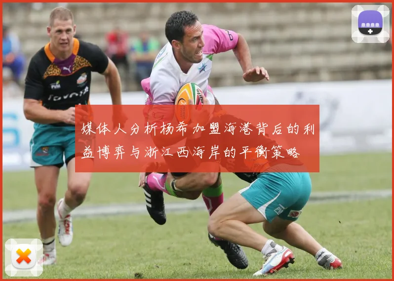 媒体人分析杨希加盟海港背后的利益博弈与浙江西海岸的平衡策略